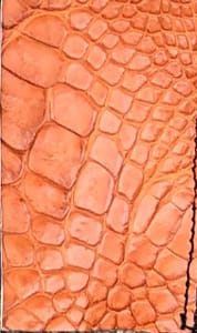 Cornelian Taurus - クロコダイルレザー10