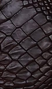 Cornelian Taurus - クロコダイルレザー11