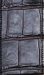 Cornelian Taurus - クロコダイルレザー2