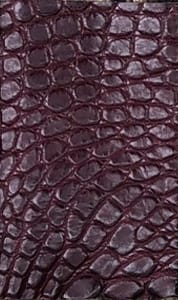 Cornelian Taurus - クロコダイルレザー3