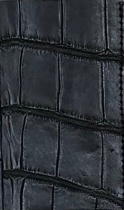 Cornelian Taurus - クロコダイルレザー6