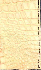 Cornelian Taurus - クロコダイルレザー8