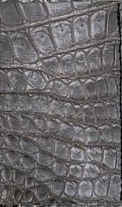 Cornelian Taurus - クロコダイルレザー4