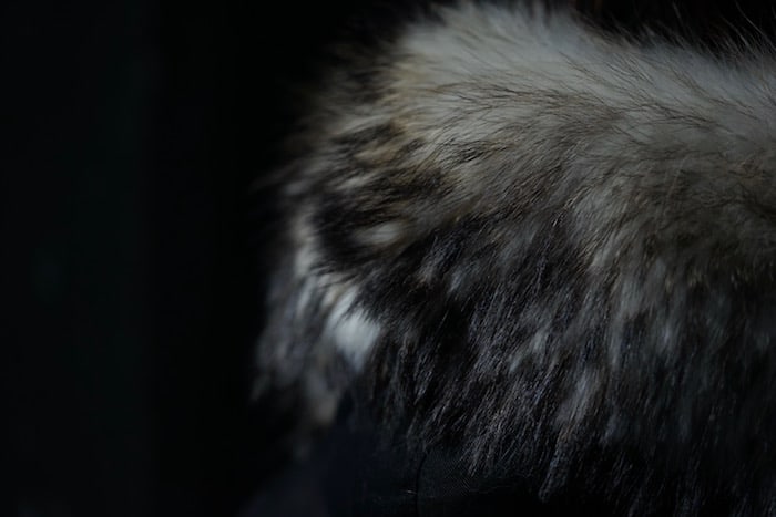 ガラアーベント